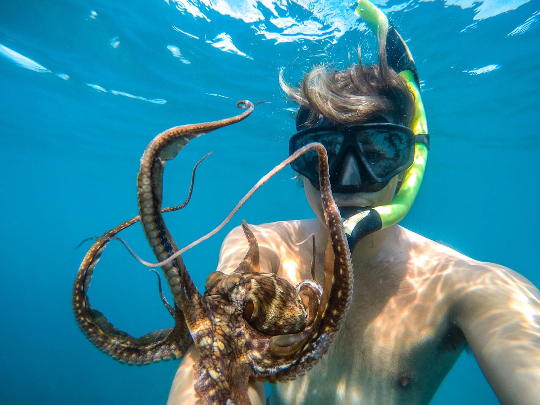 Man snorkeling holds a large octopus underwater.