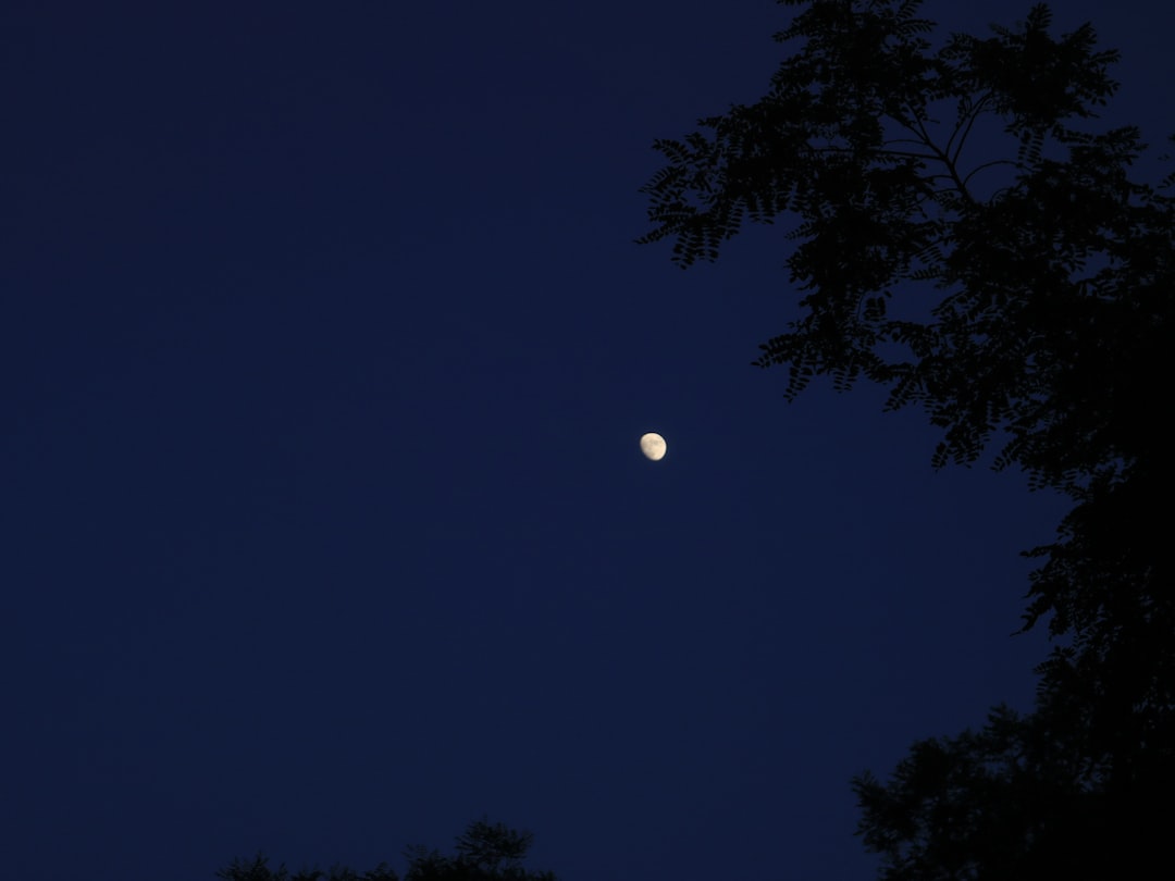 A crescent moon shines against a dark blue sky.