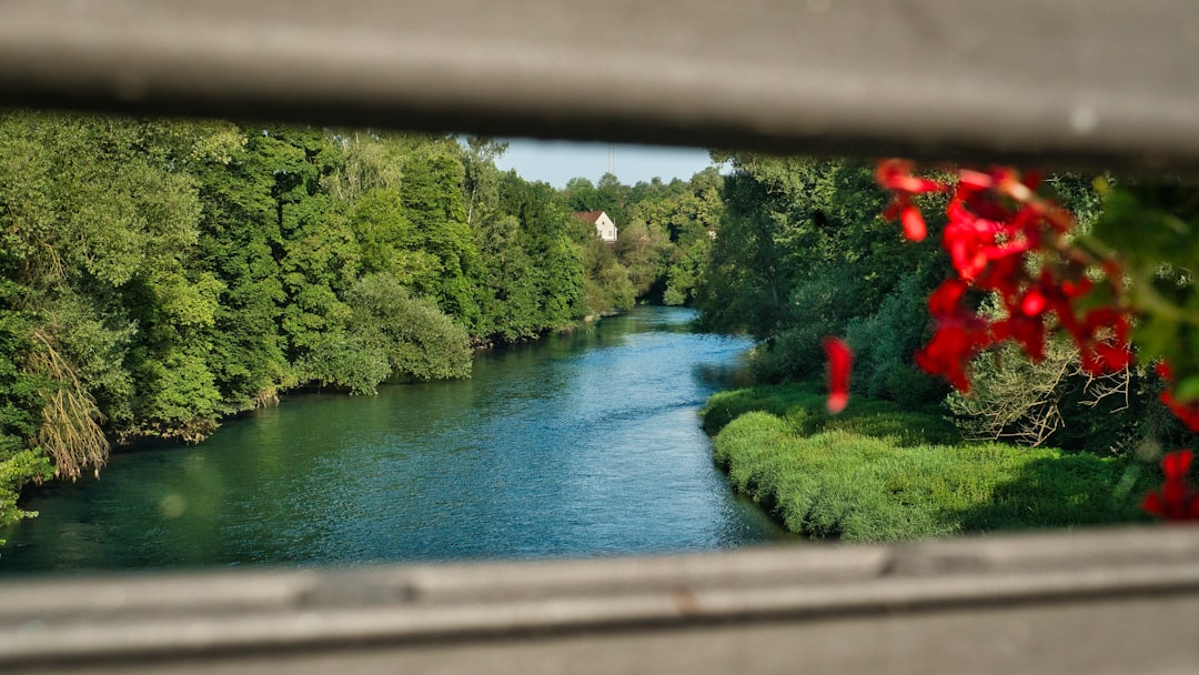 River flowing through a lush green forest with red flowers