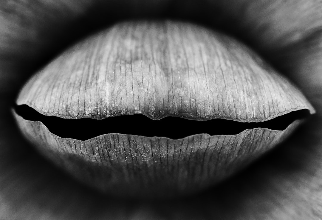 gray scale photo of shell