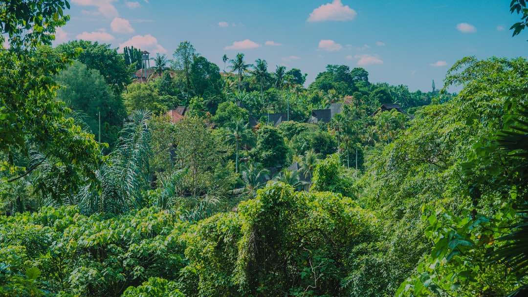 تفسير حلم الأدغال في المنام: بين دلالات ابن سيرين ورؤى العصر