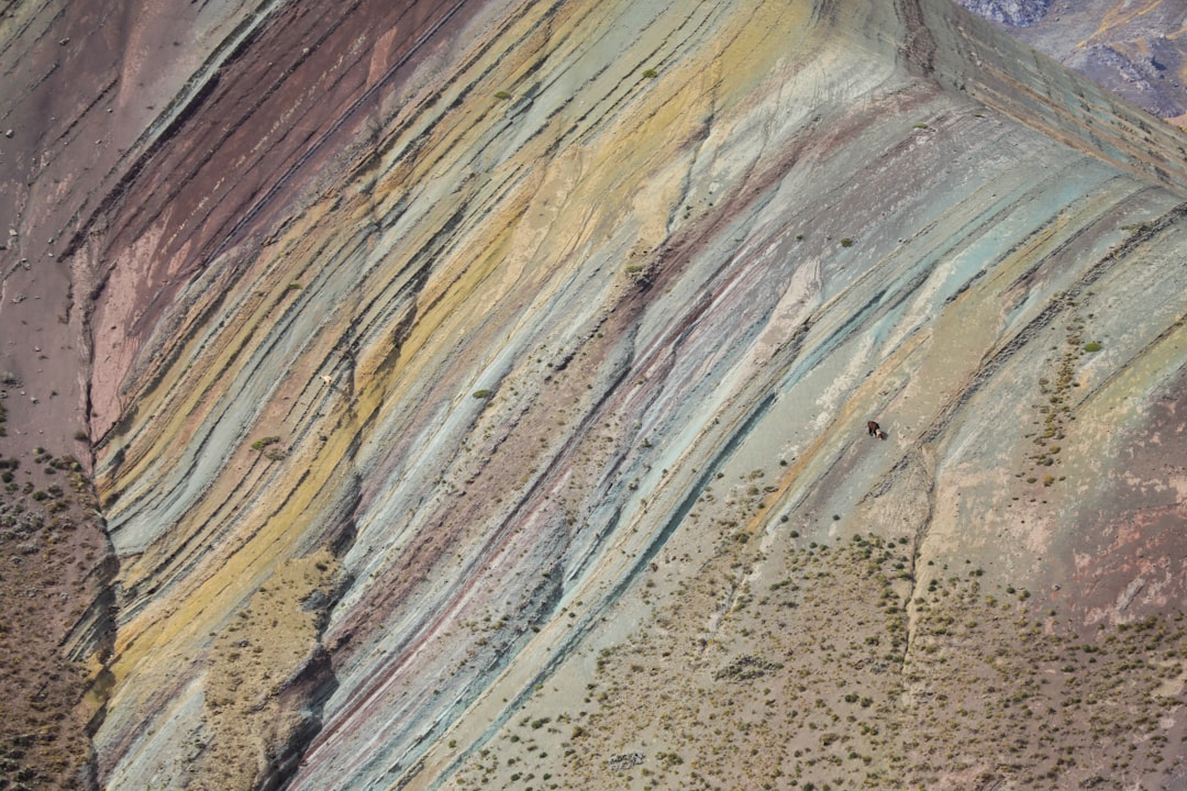 تفسير رؤية اللاما في المنام: دلالات ابن سيرين والتراث الإسلامي ومنظور نفسي