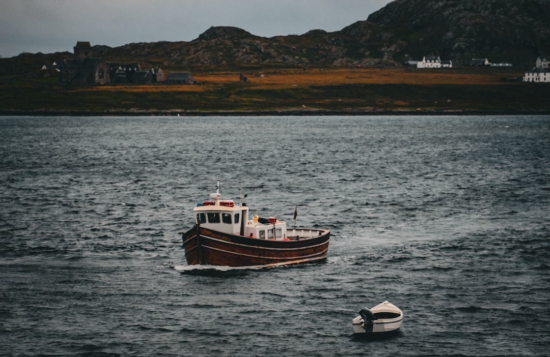 تفسير رؤية الفقمة في المنام: مزيج بين ابن سيرين وعلم النفس الحديث